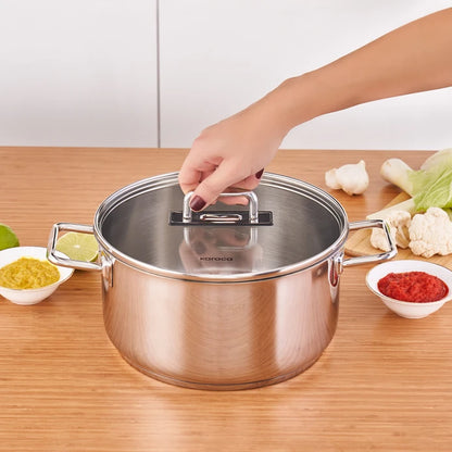 Grace Induction Base Steel Pot 24 cm 5.5 Lt